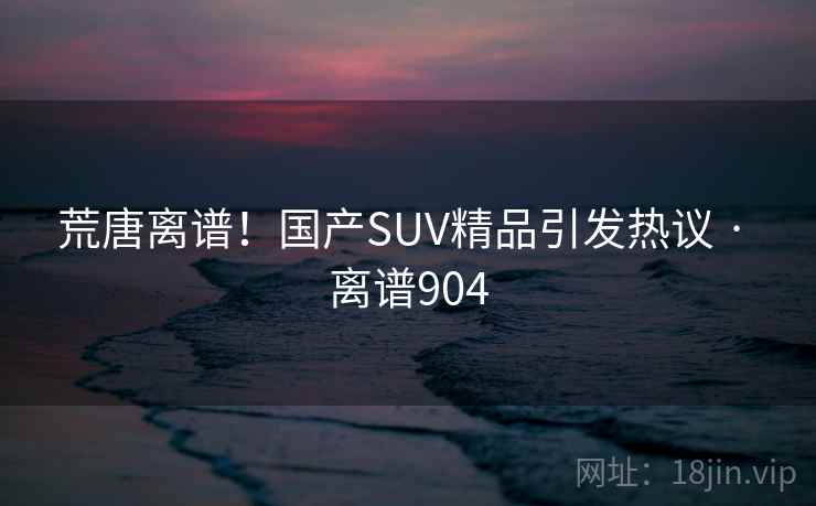 荒唐离谱！国产SUV精品引发热议 · 离谱904