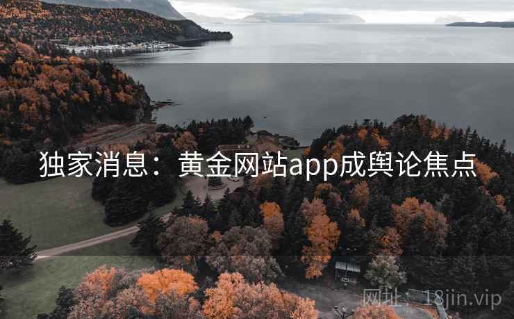 独家消息：黄金网站app成舆论焦点  第1张