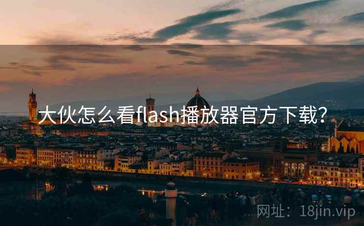 大伙怎么看flash播放器官方下载?